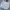 Hoddie carhartt basic grey photo 1