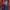 Jersey Home Brayen Munich 2014/15 player issue photo 1