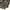 Kaos Lengan Panjang Militer US Army photo 3