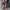 Women Sysmex Classic Floral Flower Outer Blazer Shirt Y2K photo 7