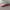 PINKFLASH Lip Cream Matte photo 3