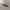 PINKFLASH Lip Cream Matte photo 4