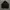 Windbreaker Jacket Adidas photo 1