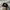 Stussy Streetwear Skater Hat Pria black photo 2