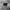 Stussy Streetwear Skater Hat Pria black photo 6