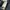 Carhartt Streetwear Formal shirt Pria navy photo 6