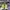 AIR ZOOM ALPHA FLY NEXT BARELY VOLT ORANGE , AIR ZOOM NEXT F photo 4
