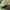 AIR ZOOM ALPHA FLY NEXT BARELY VOLT ORANGE , AIR ZOOM NEXT F photo 7