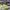 AIR ZOOM ALPHA FLY NEXT BARELY VOLT ORANGE , AIR ZOOM NEXT F photo 3