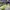 AIR ZOOM ALPHA FLY NEXT BARELY VOLT ORANGE , AIR ZOOM NEXT F
