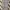 Carhartt Streetwear Casual Jeans Pria gray photo 3