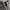 :Adidas tech photo 3