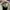 Salvatore Ferragamo Authentic Shoulder bag Vara large baige  photo 4