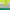 Nike Streetwear Y2K T-shirt Pria green gray photo 2