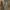 Skinny jeans 3second pria photo 1