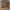 Just Design Cargo Pants photo 4