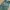 Vintage Military Pants - Slim Straight (Olive Green) photo 5