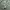 Vintage Military Pants - Slim Straight (Olive Green) photo 6