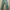 Vintage Military Pants - Slim Straight (Olive Green) photo 1