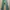 Vintage Military Pants - Slim Straight (Olive Green)