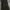 Alpha industries x san san gear black photo 6