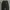 Alpha industries x san san gear black photo 7