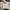 Burberry Authentic Supernova Check Black Cream tote bag photo 2
