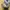 Burberry Authentic Supernova Check Black Cream tote bag photo 5