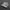 nike jordan photo 1