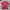 NFL X SF 49ERS Tshirt
