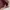 Minimalist Casual Track jacket Pria cream photo 5