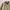 Minimalist Casual Track jacket Pria cream photo 4