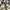 CONVERSE CHUCK TAYLOR ORIGINAL DEFECT photo 3