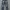 Celana Jeans Polo Ralph Lauren Vintage Selvedge Second