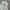 Ben Davis Streetwear Hoody Wanita white gray photo 4