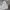 Ben Davis Streetwear Hoody Wanita white gray photo 5