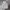 Ben Davis Streetwear Hoody Wanita white gray photo 2