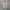 Vintage Polo Ralph Lauren Haringgton Jacket photo 1