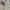 Vintage Polo Ralph Lauren Haringgton Jacket photo 3
