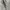 Vintage Polo Ralph Lauren Haringgton Jacket photo 4
