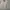 Vintage Polo Ralph Lauren Haringgton Jacket photo 2