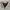 Vintage Polo Ralph Lauren Haringgton Jacket photo 7
