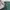 Disney Casual Windbreaker Pria green photo 3