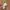 Y2K Cotton White  Belt