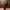 Dress body fit photo 4