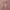 A pink rose gold cowl neck slip mini dress lingerie photo 2