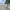 Naco Cova Set / Summer Set photo 5