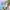 Naco Cova Set / Summer Set photo 2