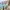 Naco Cova Set / Summer Set photo 1