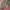 A patterned smocked Bali crop top
 photo 3